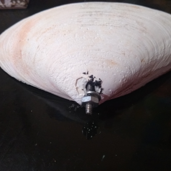 Hand painted, beach scene diorama, inside sea shell - Picture 2 of 9